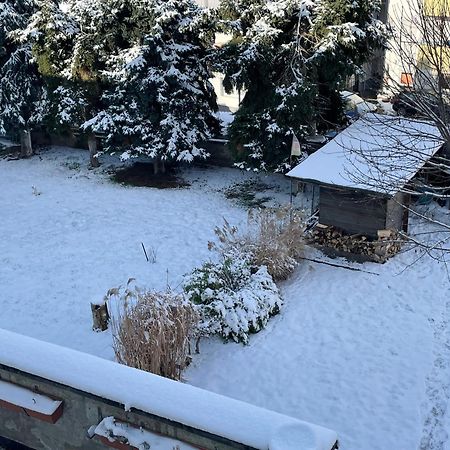 Ferienwohnung Dieblich An Der Mosel Екстер'єр фото