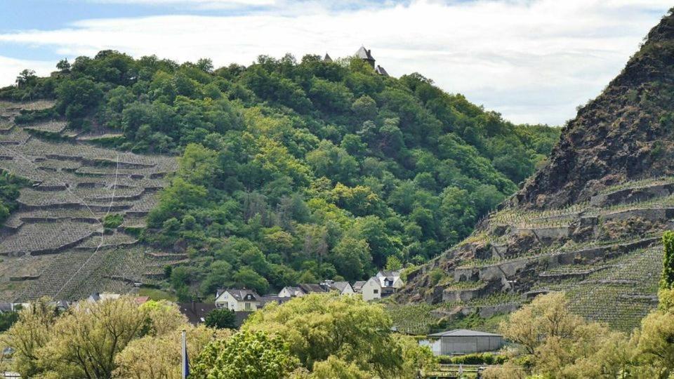 Ferienwohnung Dieblich An Der Mosel Екстер'єр фото