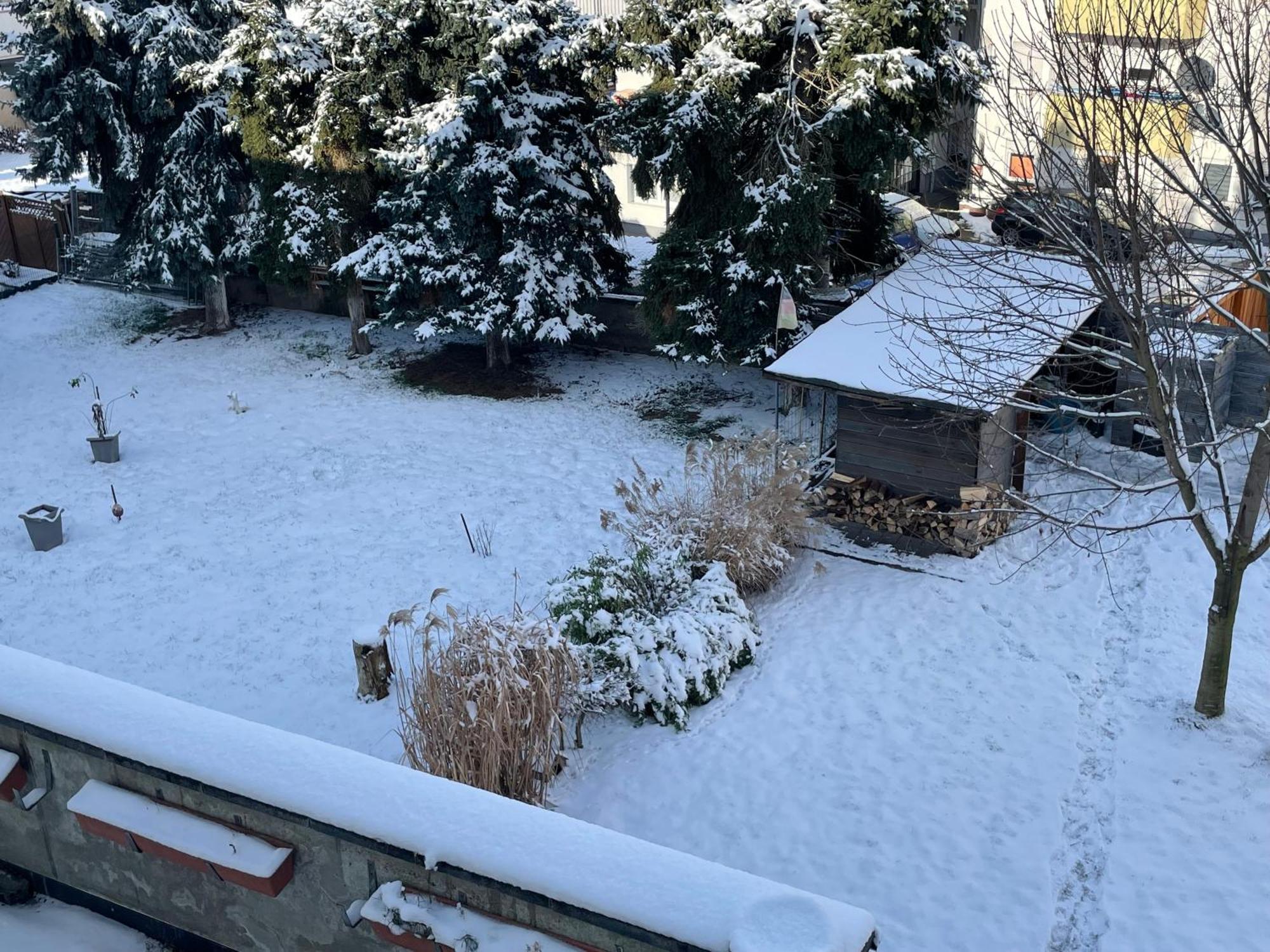 Ferienwohnung Dieblich An Der Mosel Екстер'єр фото
