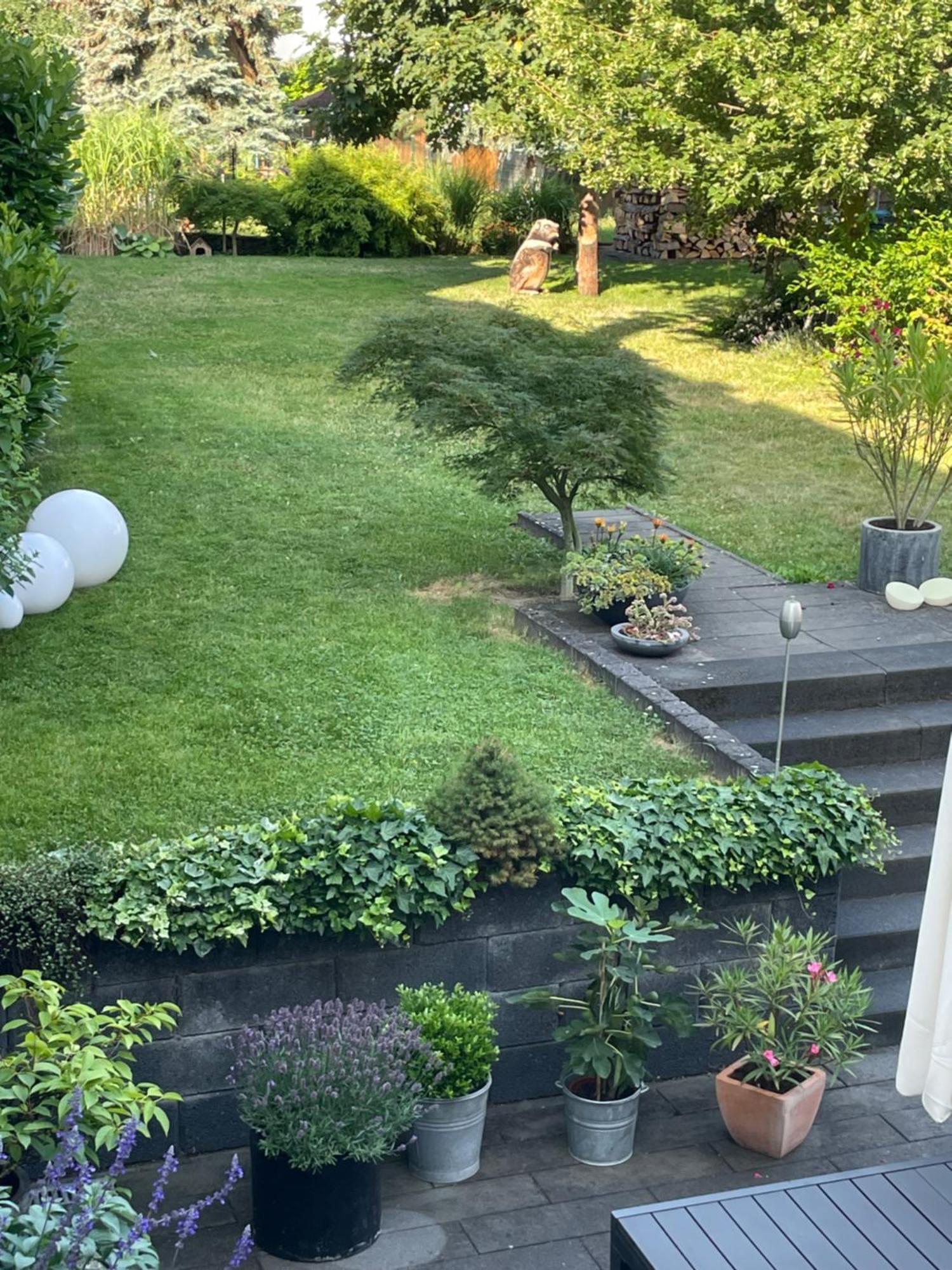 Ferienwohnung Dieblich An Der Mosel Екстер'єр фото